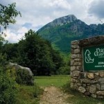 PARCO NAZIONALE D’ABRUZZO: ANCORA BOCCONI AVVELENATI ED ANIMALI MORTI