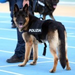 COLLEMAGGIO (L’AQUILA): IL 4 LUGLIO MANIFESTAZIONE CINOFILA DELLA POLIZIA